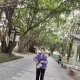 陈女士的个人头像